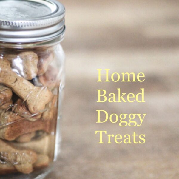 Home Baked: Dog Treats