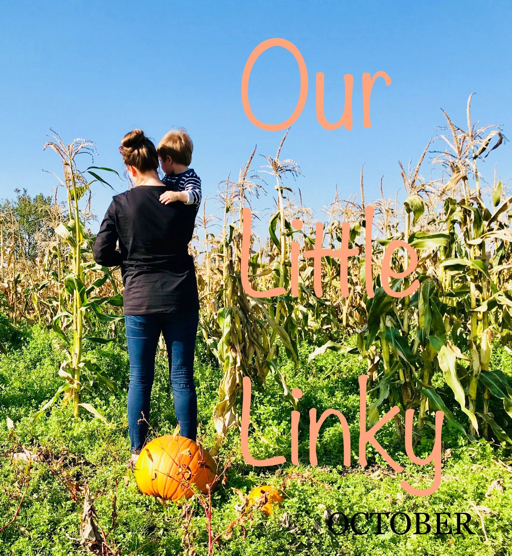 You are currently viewing Our Little Linky: Oct 15th