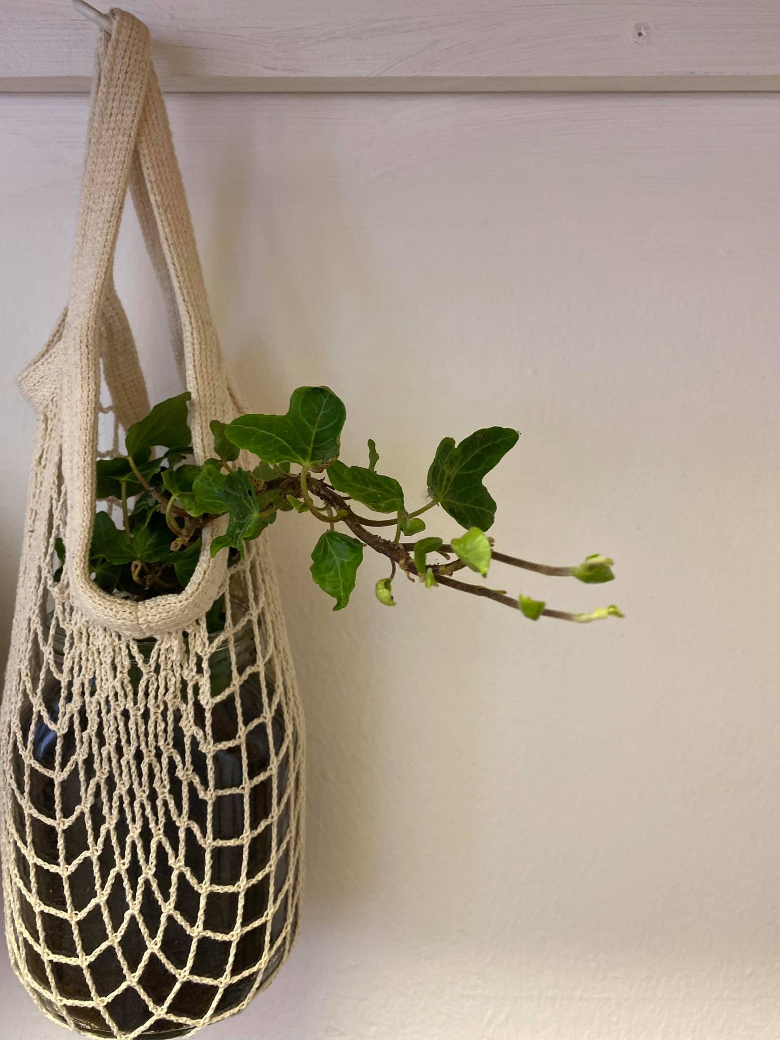 You are currently viewing Macrame: Hanging Plant Holders